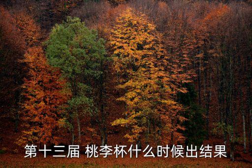 第十三届 桃李杯什么时候出结果