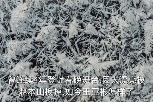 曾连续4年登上春晚舞台,因太漂亮被赵本山换掉,如今王亚彬怎样了