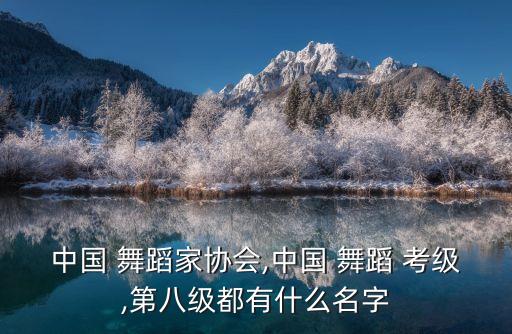 中国 舞蹈家协会,中国 舞蹈 考级,第八级都有什么名字