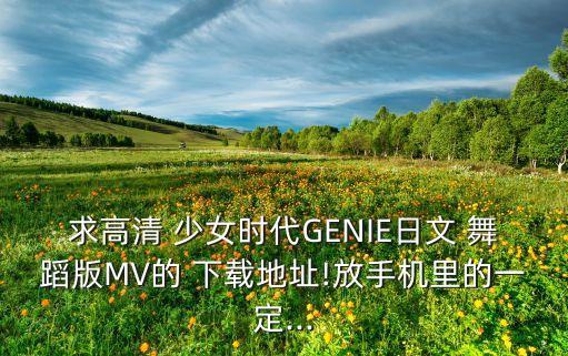 求高清 少女时代GENIE日文 舞蹈版MV的 下载地址!放手机里的一定...