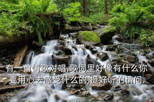 有一首情歌对唱,歌词里好像有什么你要用心去感受什么的,挺好听的请问...