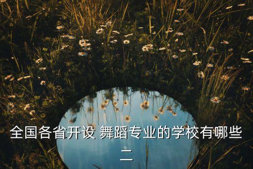 全国各省开设 舞蹈专业的学校有哪些二