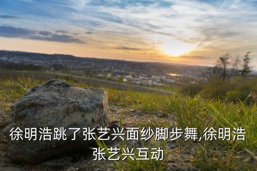 徐明浩跳了张艺兴面纱脚步舞,徐明浩张艺兴互动
