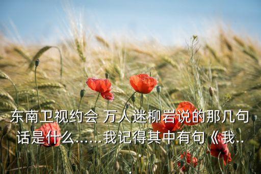 东南卫视约会 万人迷柳岩说的那几句话是什么……我记得其中有句《我...