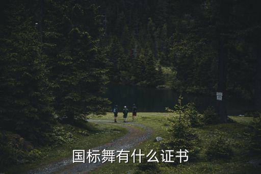 国标舞有什么证书