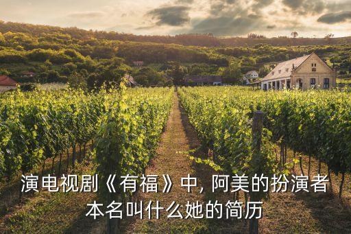 演电视剧《有福》中, 阿美的扮演者本名叫什么她的简历