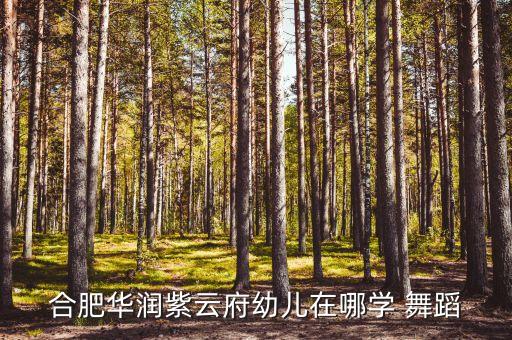 万达广场有舞蹈培训机构吗,金牛万达广场附近培训机构