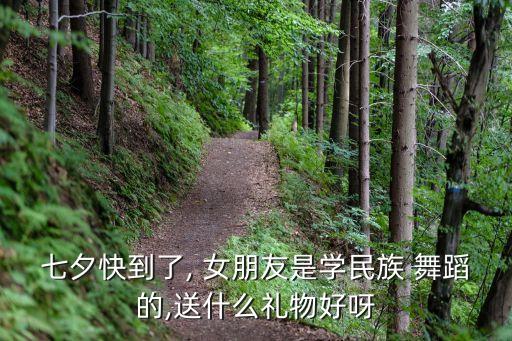 女朋友是学舞蹈的