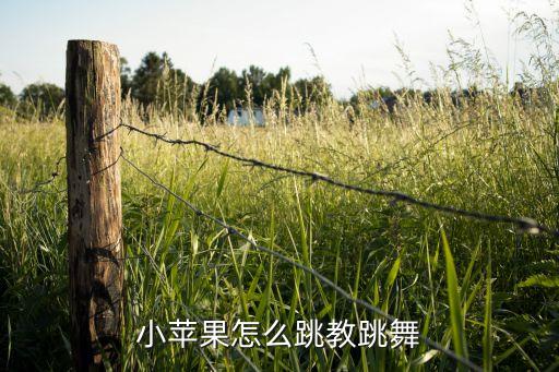 小苹果怎么跳教跳舞