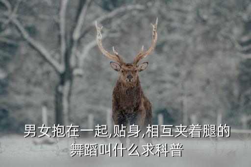  男女抱在一起,贴身,相互夹着腿的 舞蹈叫什么求科普