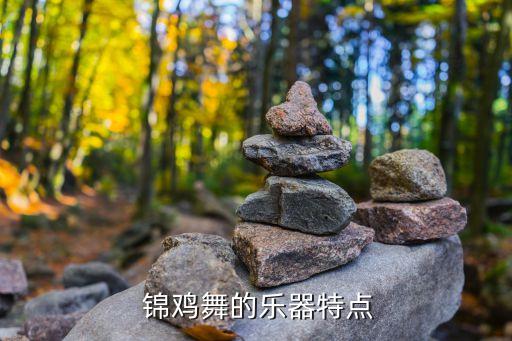 锦鸡姑娘舞蹈,锦鸡炫美舞蹈作品分析