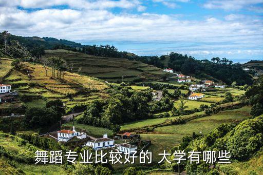 舞蹈专业比较好的 大学有哪些
