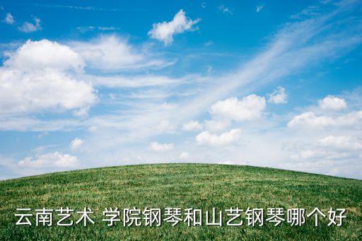 云南艺术 学院钢琴和山艺钢琴哪个好