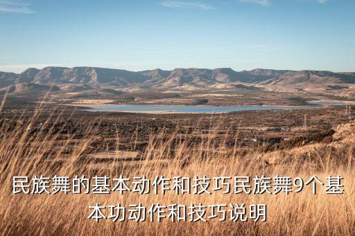 手臂飞起舞蹈动作,舞蹈动作手臂大波浪怎么做