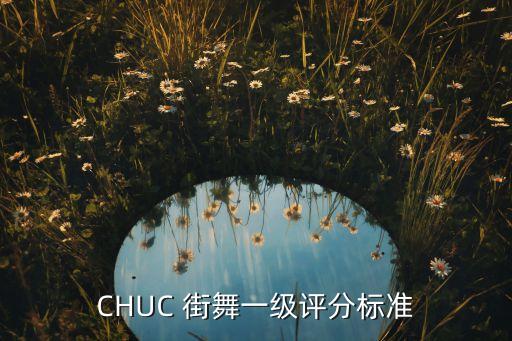 CHUC 街舞一级评分标准