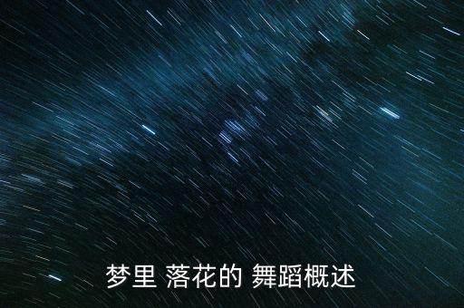 梦里 落花的 舞蹈概述