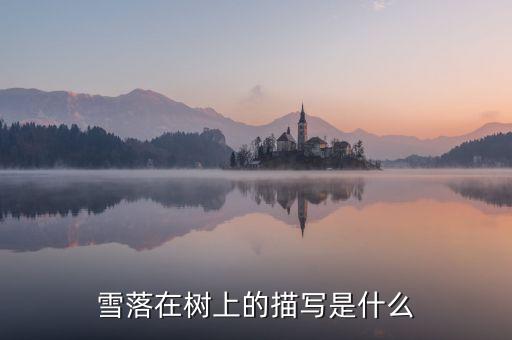 关于大树的舞蹈,大树一地根舞蹈视频