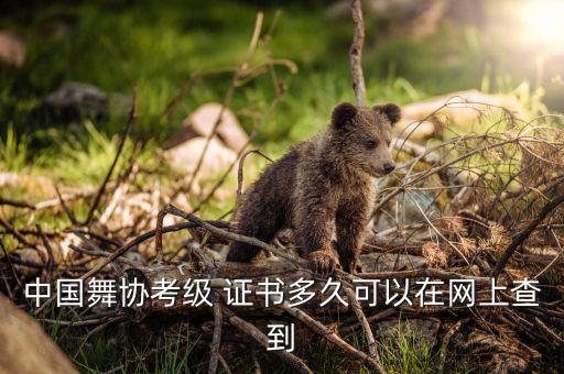 中国舞协考级 证书多久可以在网上查到