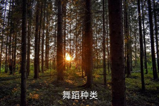  舞蹈种类