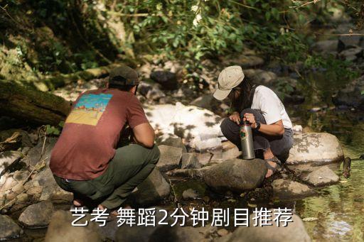 舞蹈巜梅,杨丽萍舞蹈梅