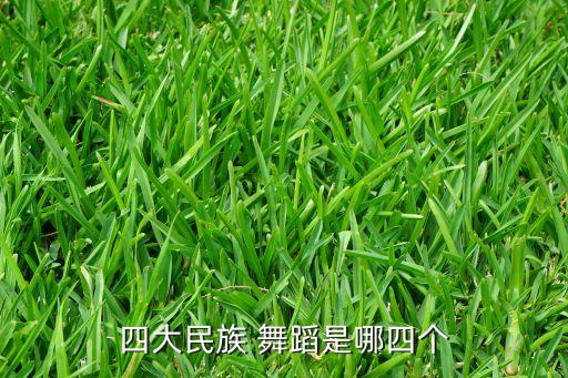 四大民族 舞蹈是哪四个
