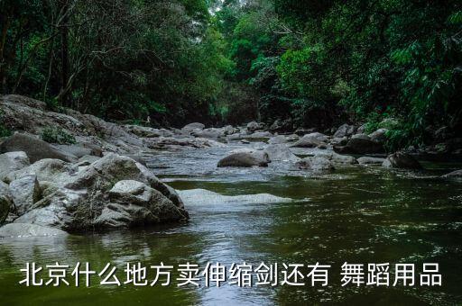 舞蹈剑可以上公交吗