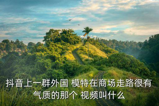 抖音上一群外国 模特在商场走路很有气质的那个 视频叫什么