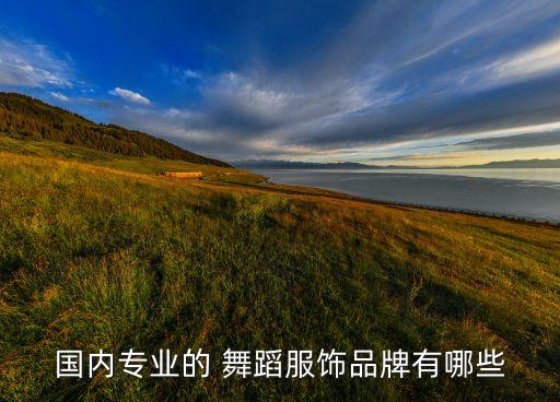 国内专业的 舞蹈服饰品牌有哪些