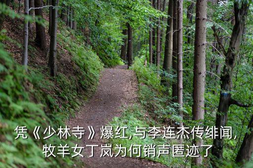 凭《少林寺》爆红,与李连杰传绯闻, 牧羊女丁岚为何销声匿迹了