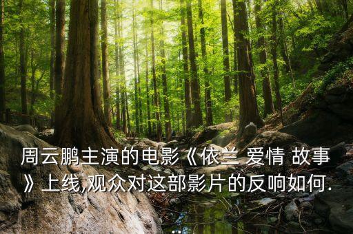 周云鹏主演的电影《依兰 爱情 故事》上线,观众对这部影片的反响如何...