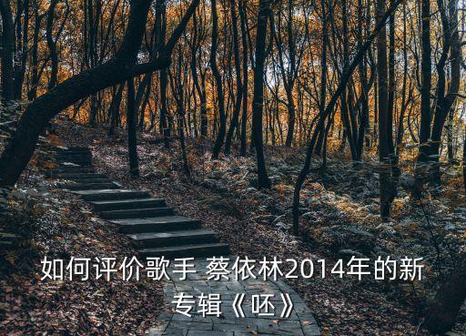 如何评价歌手 蔡依林2014年的新专辑《呸》