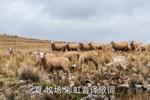 夏牧场的彩虹舞蹈视频,牧场小奶牛舞蹈视频