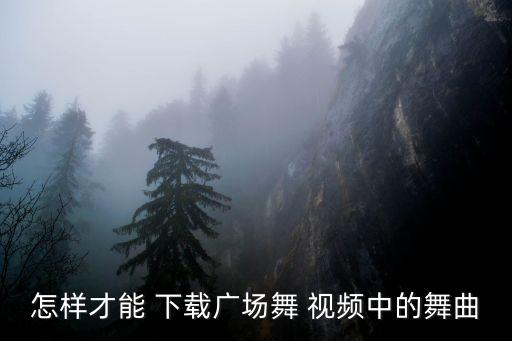 什么歌曲有舞蹈视频下载,歌曲视频下载用什么软件最好