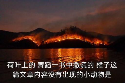 荷叶上的 舞蹈一书中撒谎的 猴子这篇文章内容没有出现的小动物是