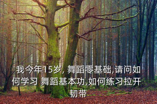 舞蹈拉韧带的方法图解