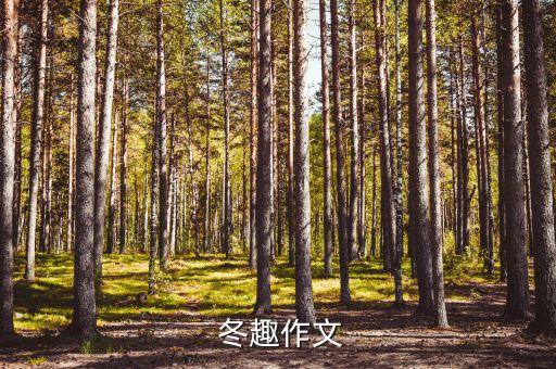  冬趣作文