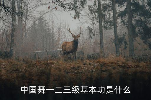 中国舞一二三级基本功是什么