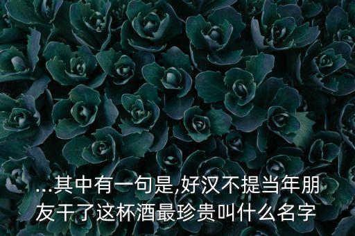 ...其中有一句是,好汉不提当年朋友干了这杯酒最珍贵叫什么名字