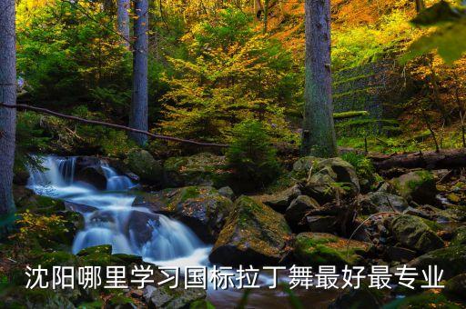  沈阳哪里学习国标拉丁舞最好最专业