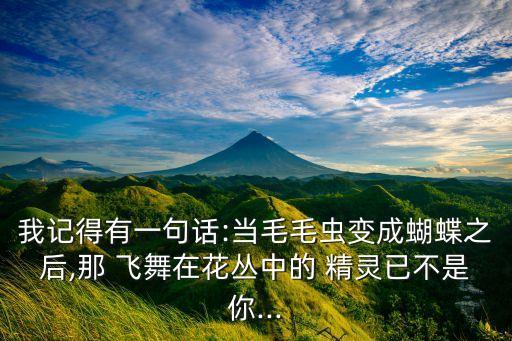 飞舞精灵舞蹈视频,梦蝶飞舞舞蹈视频完整版