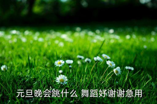关于元旦的舞蹈