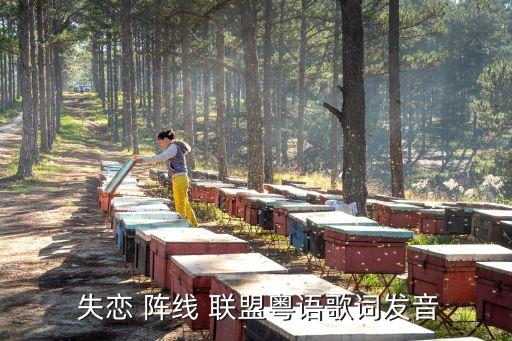 失恋阵线联盟简单舞蹈