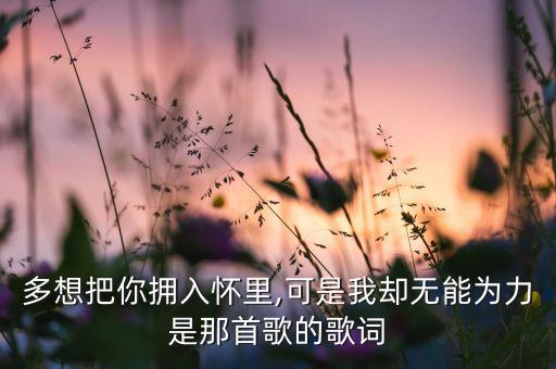 多想把你拥入怀里,可是我却无能为力是那首歌的歌词