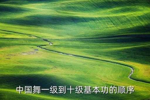 九级舞蹈考级云南花灯,九级考级舞蹈豆蔻时节
