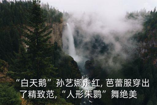 干芭蕾舞蹈女生,广州芭蕾舞蹈女生班排练视频