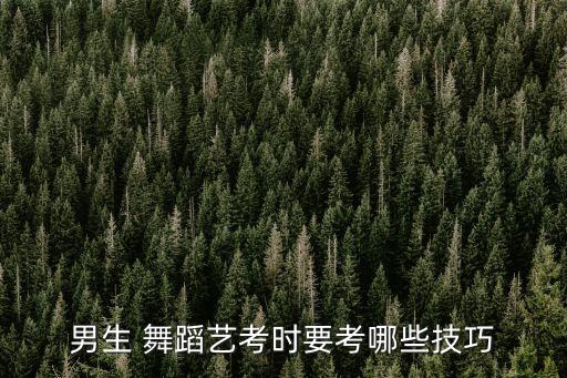 男孩学的舞蹈基本功,学舞蹈基本功有哪些动作