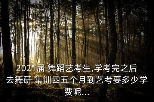 2021届 舞蹈艺考生,学考完之后去舞研 集训四五个月到艺考要多少学费呢...