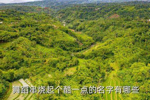  舞蹈串烧起个酷一点的名字有哪些