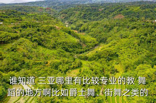 谁知道 三亚哪里有比较专业的教 舞蹈的地方啊比如爵士舞、街舞之类的