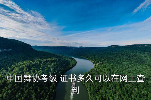 中国舞协考级 证书多久可以在网上查到
